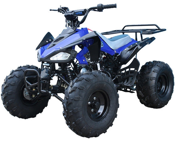 PRO TT Cheetah Kawasaki KFX Clone 110cc ATV