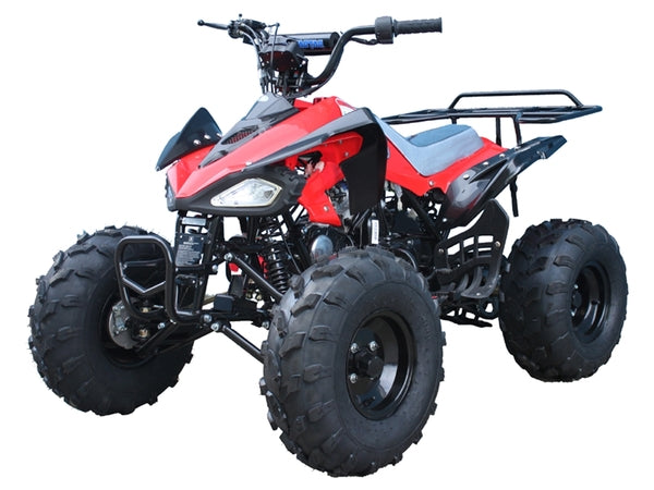 PRO TT Cheetah Kawasaki KFX Clone 110cc ATV