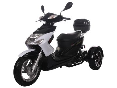 ICE BEAR ELF 49CC TRIKE