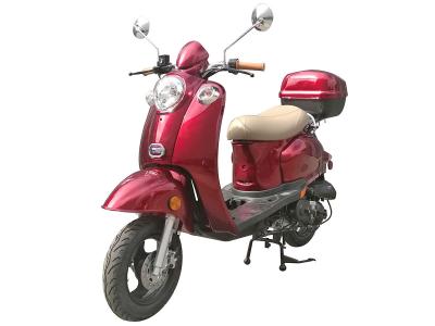 Ice Bear Bullet 50 Scooter IB-PMZ50-5