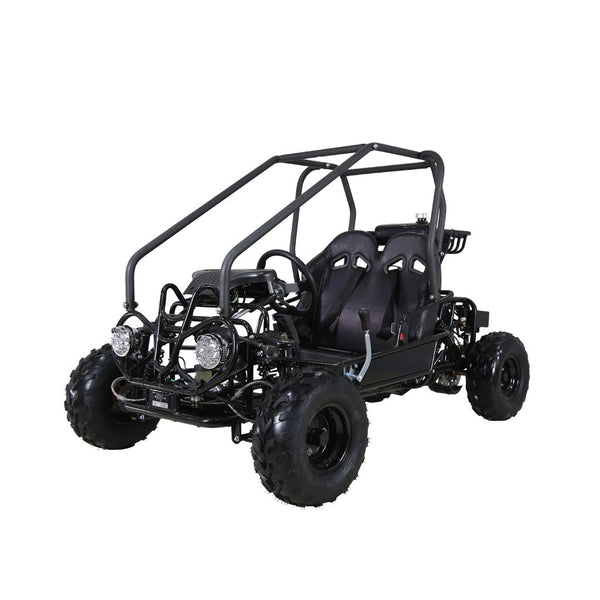 Tao Motor 110 GK110 GO KART