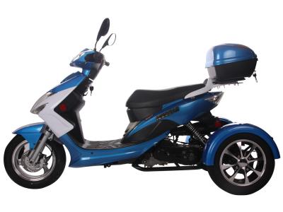 ICE BEAR ELF 49CC TRIKE