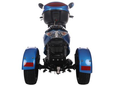 ICE BEAR ELF 49CC TRIKE