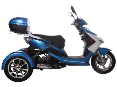 ICE BEAR ELF 49CC TRIKE