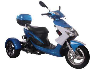 ICE BEAR ELF 49CC TRIKE