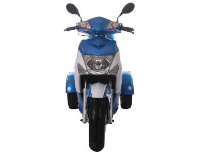 ICE BEAR ELF 49CC TRIKE