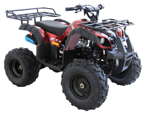 Cougar Cycle Rider-9 125cc ATV