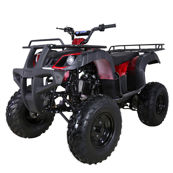 TaoTao Bull 150 Youth/Adult ATV