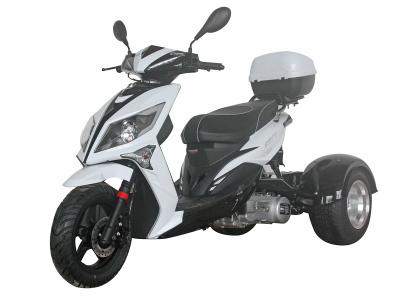 Icebear Mojo 150 PST150-9 150cc Trike