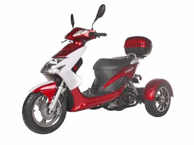 ICE BEAR ELF 49CC TRIKE