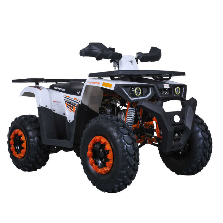 TaoTao Raptor 200 Orange/White