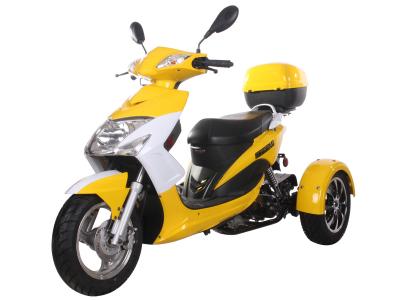 ICE BEAR ELF 49CC TRIKE